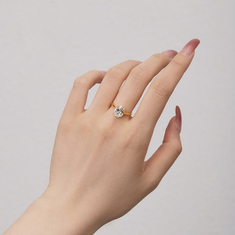 Eternal Oval Ring